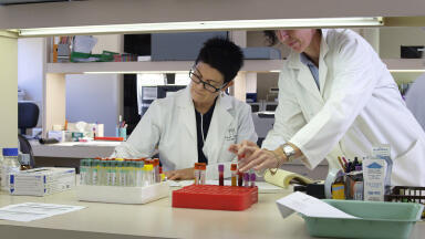 Veterinary Group Opts for Workflow Management